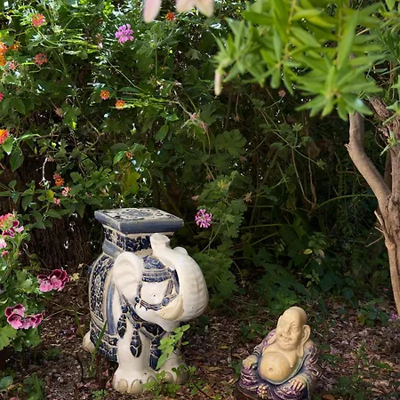 شقة Charming Studio, Balcony With Garden View, Liberation *